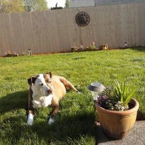 Meet your Posher, Joyce